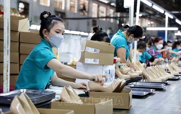 Developing high quality human resources for sustainable labour market recovery: experts hinh anh 2