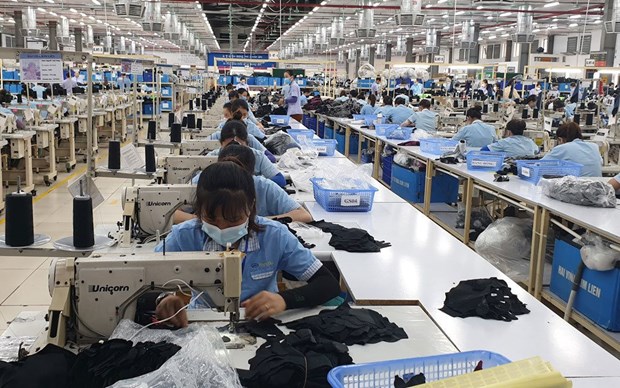 Vietnamese exporters, authorities seek to navigate low global demand hinh anh 2