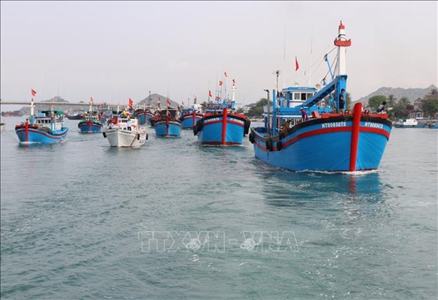 Localities urged to manage fishing vessels, trace origin hinh anh 1