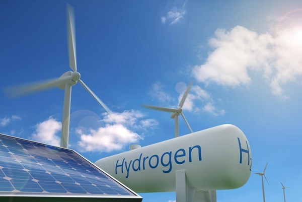Conference highlights role of green hydrogen in Vietnam’s energy transition hinh anh 1