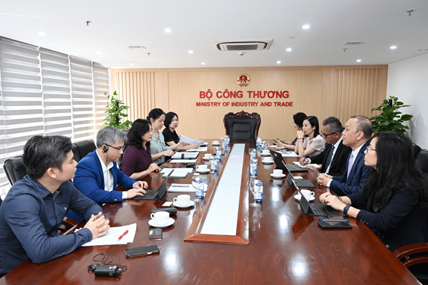 Vietnam hopes for stronger cooperation with WB in sustainable clean energy hinh anh 1