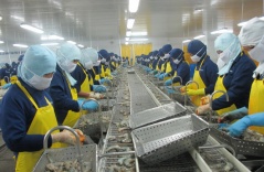 Escalating prices have become a major barrier for Vietnam shrimp export industry Escalating prices have become a major barrier for Vietnam shrimp export industry