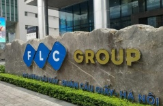 FLC scandal: 2 more stocks forced to be delisted from HoSE FLC scandal: 2 more stocks forced to be delisted from HoSE