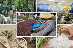 Since the Q4 2023, Vietnam's agricultural, forestry and aquatic exports are expected to grow positively Since the Q4 2023, Vietnam's agricultural, forestry and aquatic exports are expected to grow positively