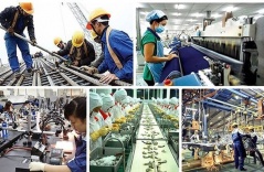 Comments of experts on the development of high-quality human resources and sustainable recovery of the labor market Comments of experts on the development of high-quality human resources and sustainable recovery of the labor market