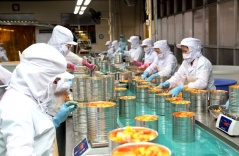 Vietnam: 20% is the expected increase of the fruit and vegetable processing industry in the near future Vietnam: 20% is the expected increase of the fruit and vegetable processing industry in the near future