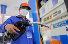 Gas and diesel prices fell in Vietnam, continuing a global trend. Gas and diesel prices fell in Vietnam, continuing a global trend.