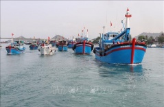 Regions are urged to control fishing boats and determine their source Regions are urged to control fishing boats and determine their source