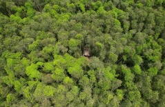 Over $61 million is set aside for the development of tourism in a national park in southern Vietnam