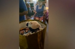 Loving grandma gets a long-awaited gift bag surprise Loving grandma gets a long-awaited gift bag surprise