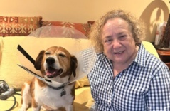 Dog Is Laser Focused on Greeting His 85-Year-Old Neighbor Dog Is Laser Focused on Greeting His 85-Year-Old Neighbor
