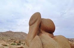 Discovering the Natural Wonders: A Colection of Unique Landscapes and Trees