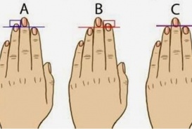 Your fingers can tell you a lot about your personality. What kind of fingers do you have?