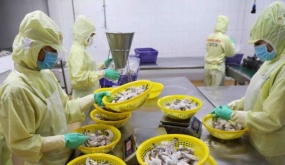 Exports from agriculture, forestry, and fishery total close to$ 25 billion in H1