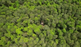 Over $61 million is set aside for the development of tourism in a national park in southern Vietnam