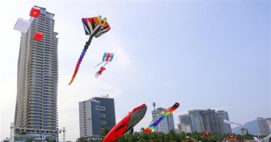 Industry and services continue to be a key driver of Da Nang's economic development.