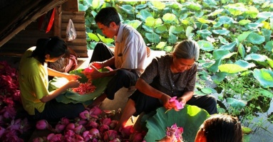 Discover the beautiful lotus lagoon just in Hanoi