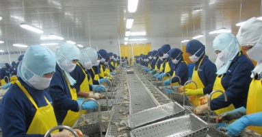 Escalating prices have become a major barrier for Vietnam shrimp export industry