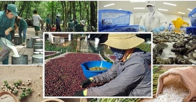 Since the Q4 2023, Vietnam's agricultural, forestry and aquatic exports are expected to grow positively