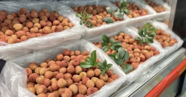 Vietnam's fresh lychee conquering US market, opening up big opportunities