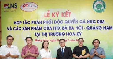 Quang Nam in Vietnam will use formal channels to export braised scad fish to the United States
