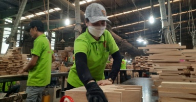 Vietnames industrial production index increased by 0.44 % first-half.