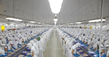 VN-Index gains, lead by seafood shares