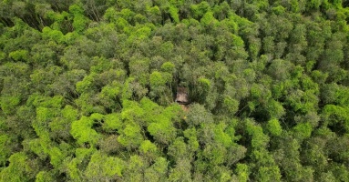 Over $61 million is set aside for the development of tourism in a national park in southern Vietnam