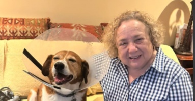 Dog Is Laser Focused on Greeting His 85-Year-Old Neighbor