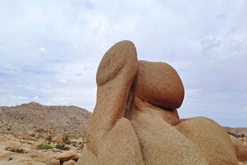 Discovering the Natural Wonders: A Colection of Unique Landscapes and Trees